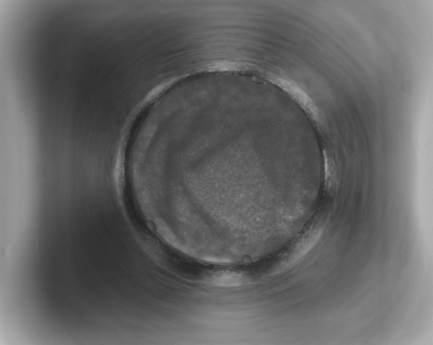 X0000101100348200807241032