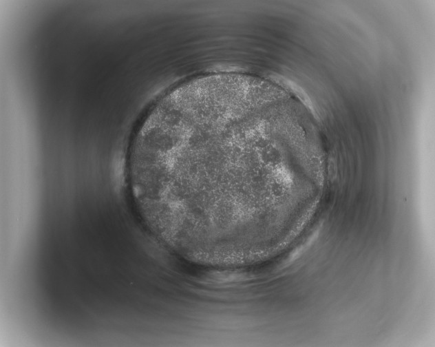X0000101100351200807241032