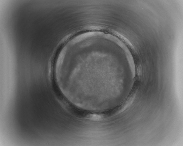 X0000101100352200807241032