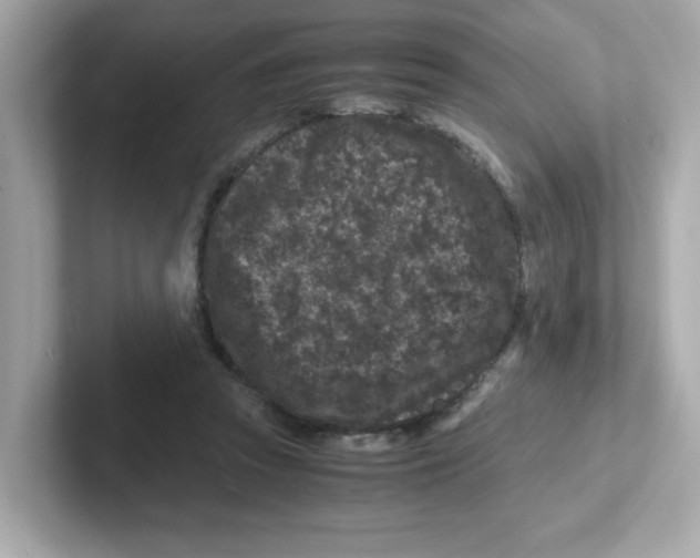 X0000101100353200807241032