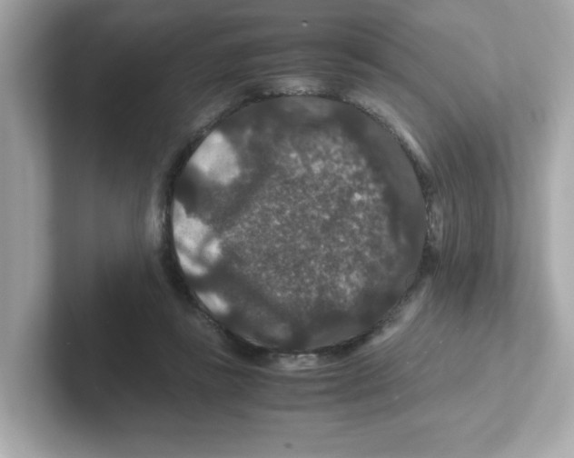 X0000101100355200807241032