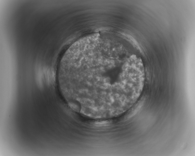 X0000101100357200807241032