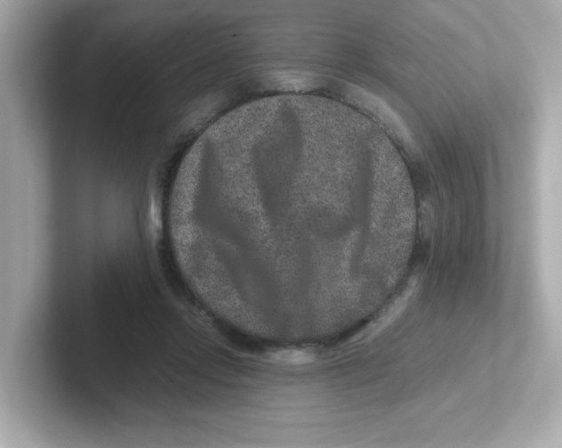 X0000101100358200807241032