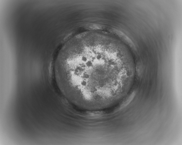 X0000101100359200807241032