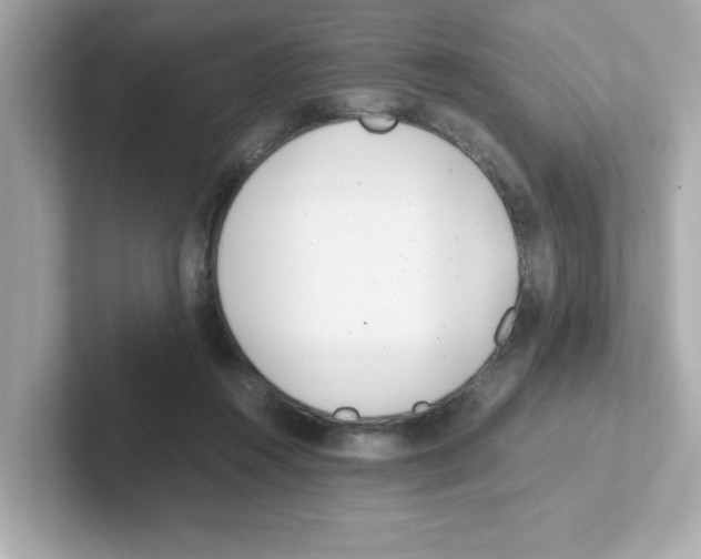 X0000101100360200807241032