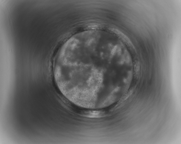 X0000101100361200807241032