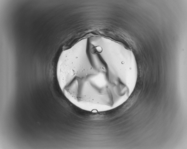 X0000101100362200807241032