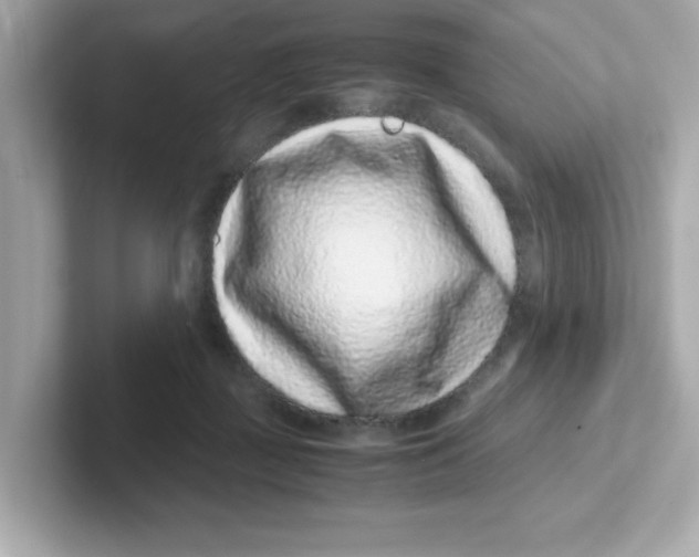 X0000101100363200807241032