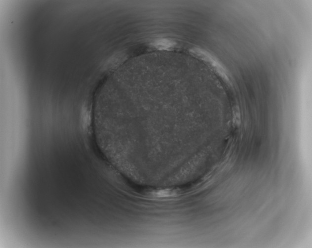 X0000101100365200807241032