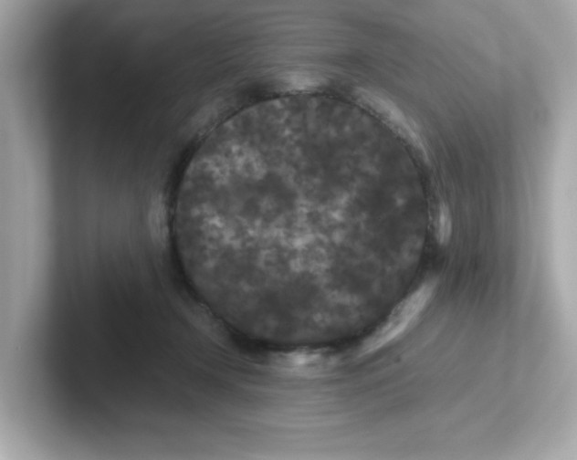 X0000101100366200807241032
