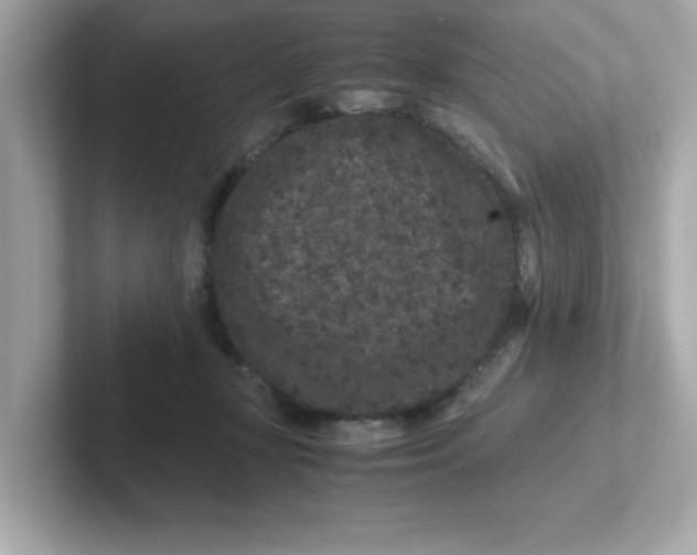 X0000101100367200807241032