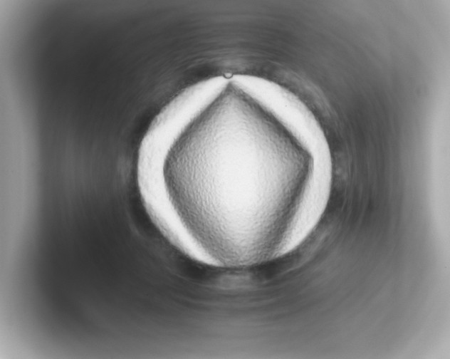 X0000101100369200807241033