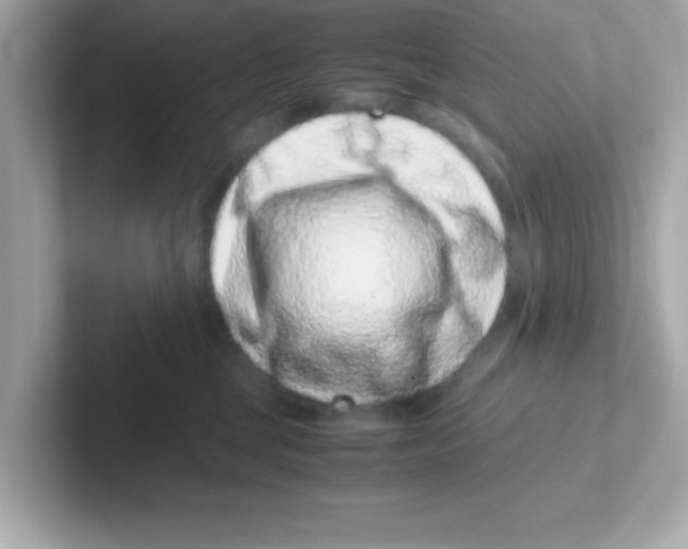 X0000101100377200807241033
