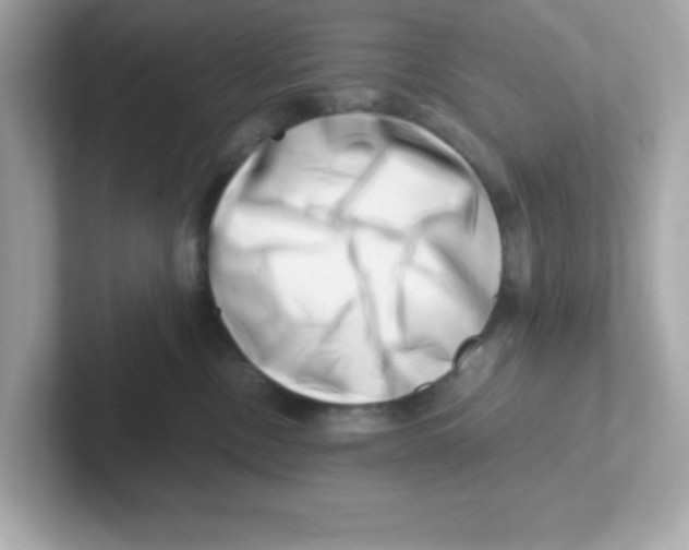 X0000101100378200807241033