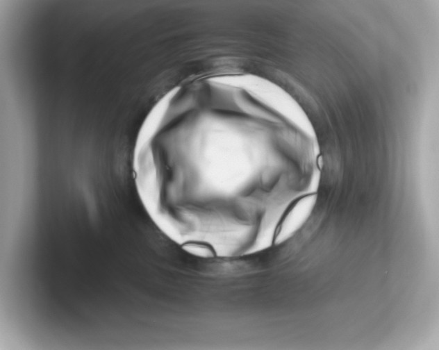 X0000101100379200807241033