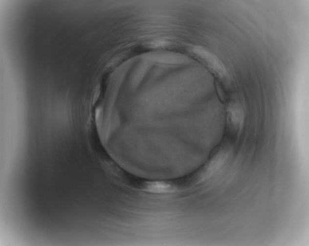X0000101100380200807241033