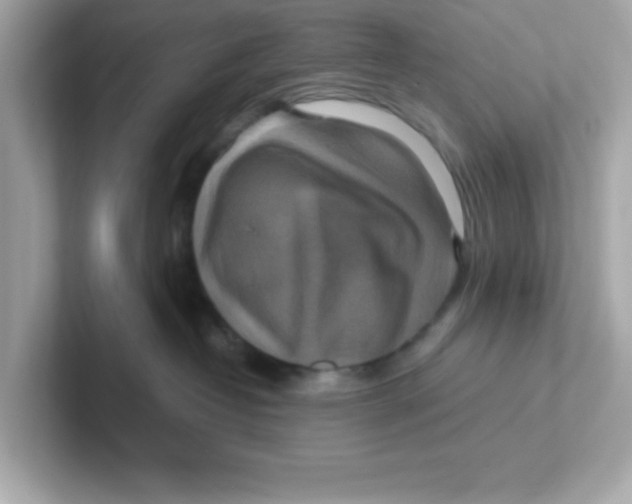 X0000101100382200807241033