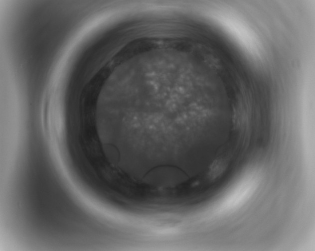 X0000101100383200807241033