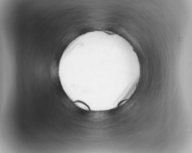 X0000101100384200807241033
