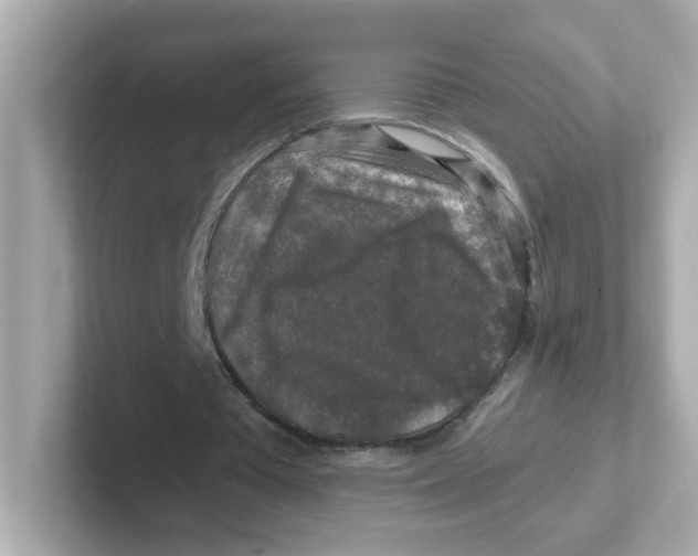 X0000101100385200807241032