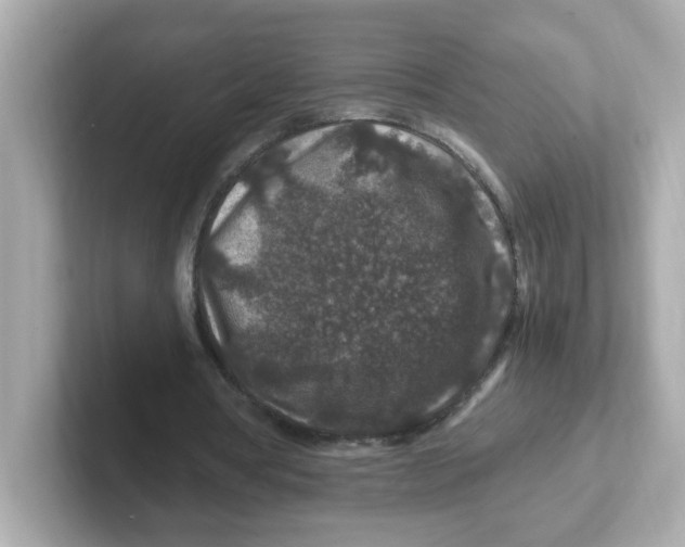 X0000101100386200807241032