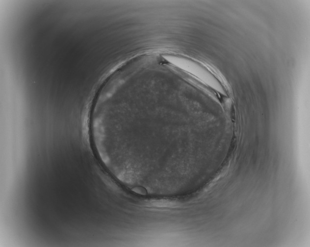 X0000101100389200807241032