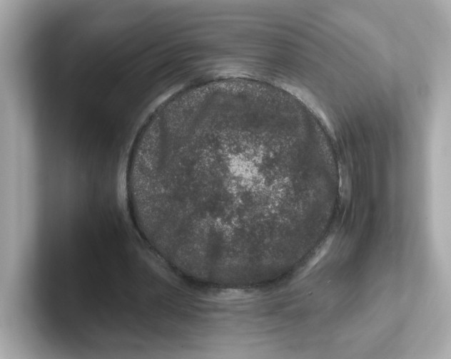 X0000101100390200807241032