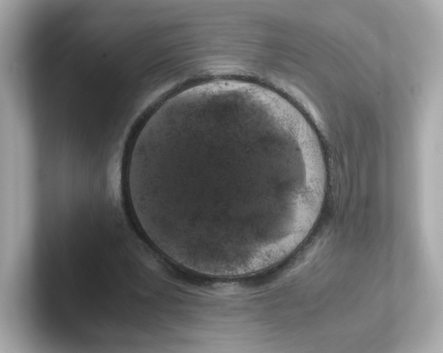 X0000101100391200807241032