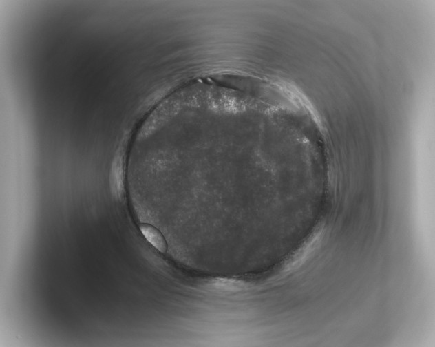 X0000101100393200807241032