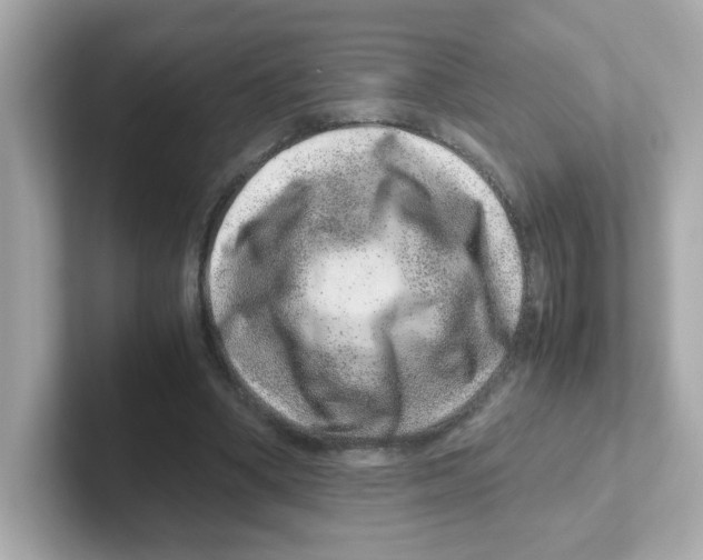 X0000101100394200807241032