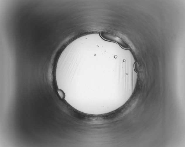 X0000101100395200807241032
