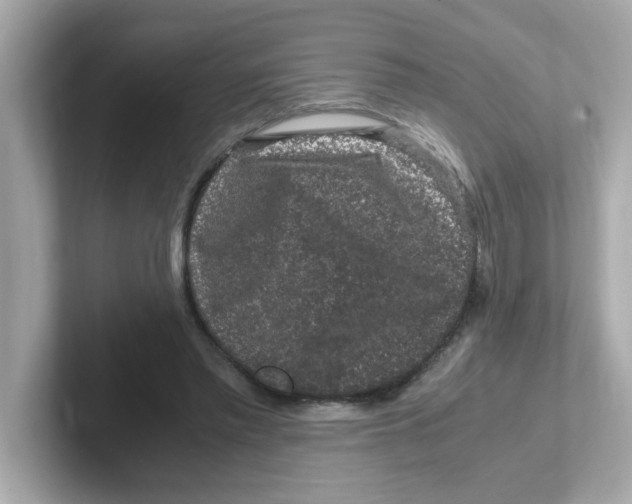 X0000101100397200807241032