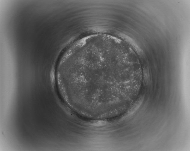 X0000101100398200807241032