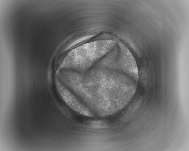 X0000101100400200807241032