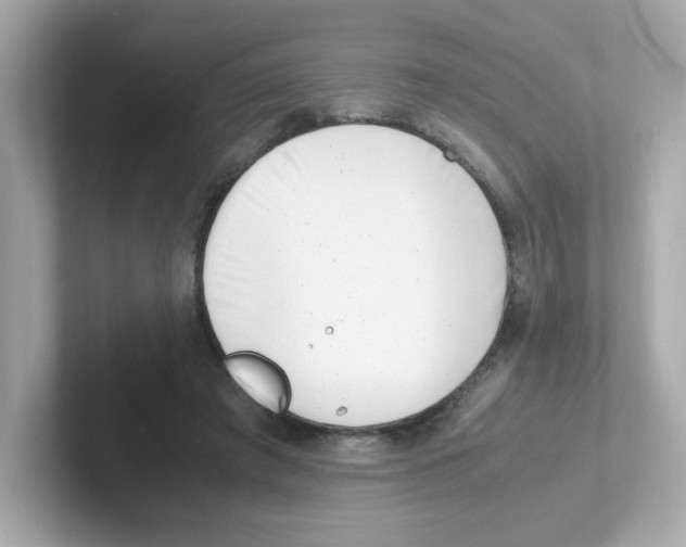 X0000101100401200807241032