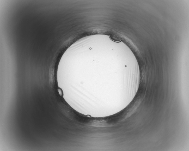 X0000101100403200807241032