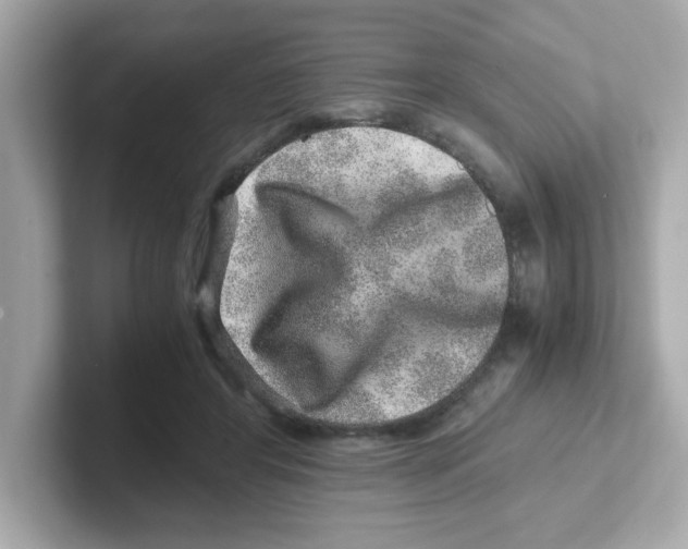 X0000101100404200807241032