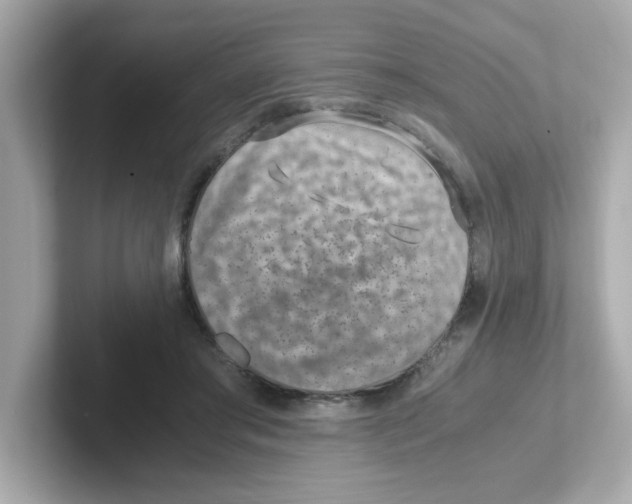 X0000101100405200807241032
