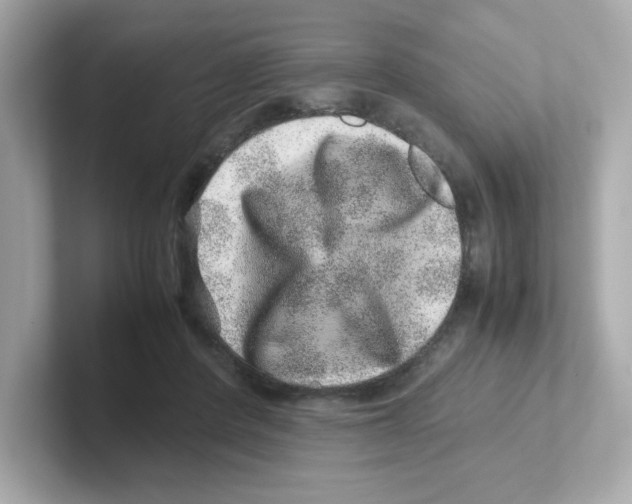 X0000101100408200807241032