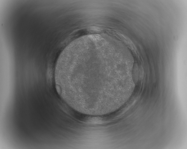 X0000101100409200807241032