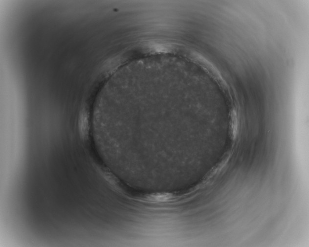 X0000101100410200807241032