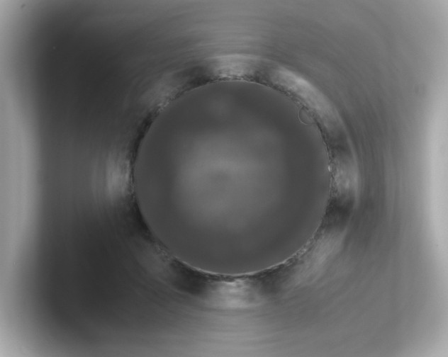 X0000101100411200807241032