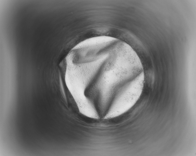 X0000101100412200807241032