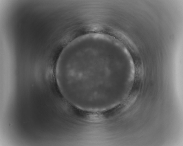 X0000101100415200807241032