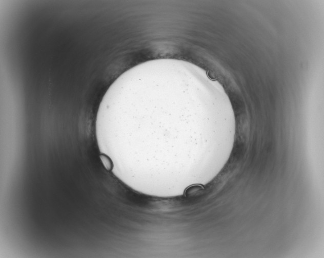 X0000101100417200807241032