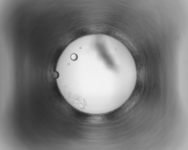 X0000101100418200807241032