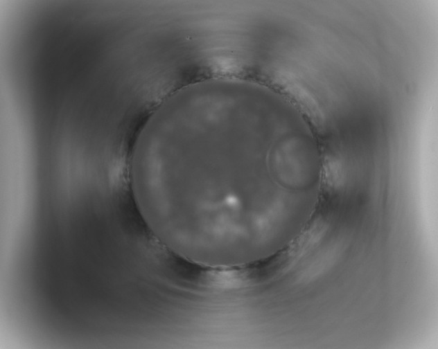 X0000101100419200807241032