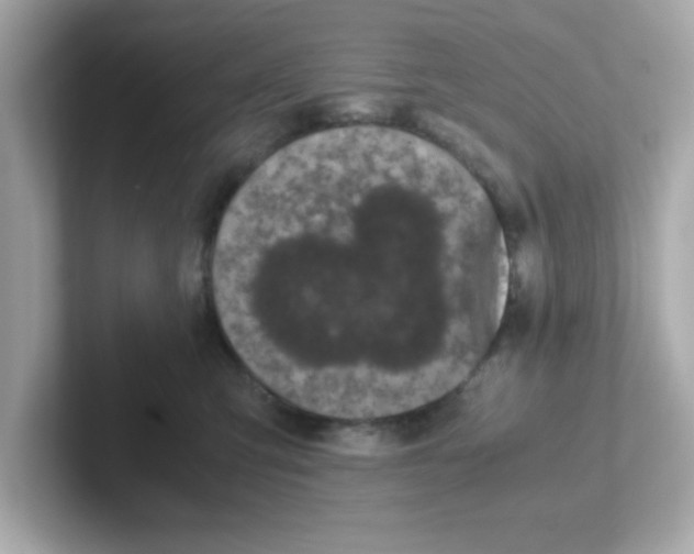 X0000101100423200807241032