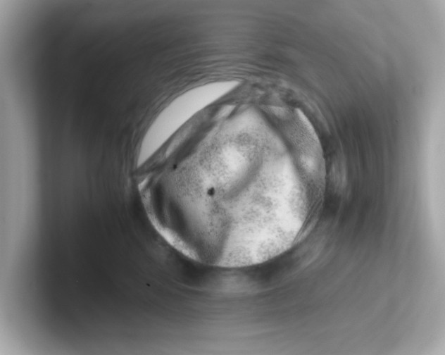 X0000101100424200807241032
