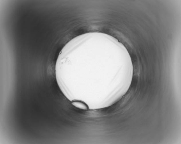 X0000101100425200807241032